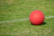 Red Playground kickball ball on the green grass in the bright sunshine. Summer fun.