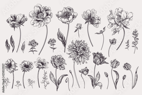 Set with spring garden flowers. Canvas Print