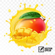 3d realistic transparent isolated vector, whole and pieces mango fruit with leaf in a splash of juice with drops