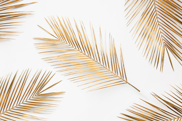 Golden palm branches on white background