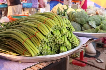 Sticker - Spring onion flower at market