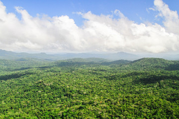 Pristine primary forest dominates the landscape in this aerial shot of the Cockscomb Basin, Belize.