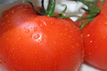 closeup of fresh tomatoes in water