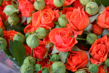 Poster - bouquet of orange roses