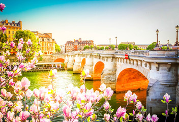 Wall Mural - pont neuf, paris, france
