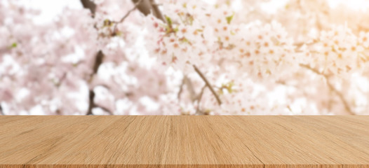 Wall Mural - blurry of cherry blossom blooming season festive with wood plank perspective backdrop for ad,show,promote product or content on display concept	