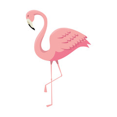 Canvas Print - elegant flamingo bird icon