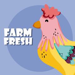 Poster - Farm fresh cartoons