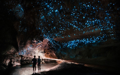 under a glow worm sky - couple shining a light into waipu cave filled will glow worms