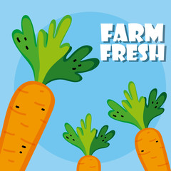 Poster - Farm fresh cartoons