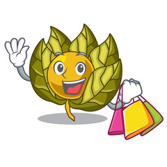 Sticker - Shopping physalis fruit in the mascot fridge