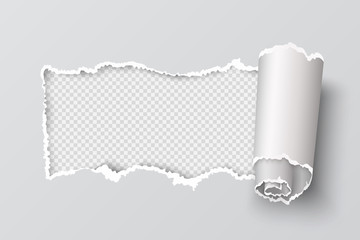 Poster - Torn paper edge. Realistic transparent header hole, white page ripped grunge texture, destroyed cardboard element. Vector rip edge
