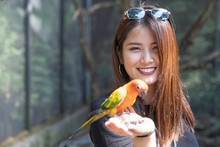 Asian Beautiful Woman Enjoying With Love Bird On Hand And Body.