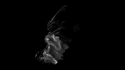 Poster - Abstract 3d animation, polygonal human face, 3d render, cyborg head construction, artificial intelligence concept, 4k video with alpha matte