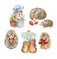 Cute and funny hedgehogs. Cartoon animals, watercolor characters isolated on white