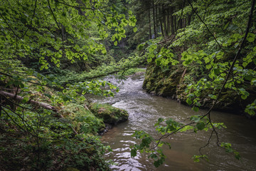 Sticker - River Hornad in Slovak Paradise mountain range in Slovakia