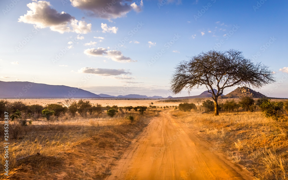 Safari road in Kenya - obrazy, fototapety, plakaty 