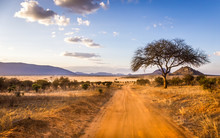 Safari Road In Kenya