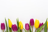 Fototapeta Tulipany - Spring Pink tulips on white background.