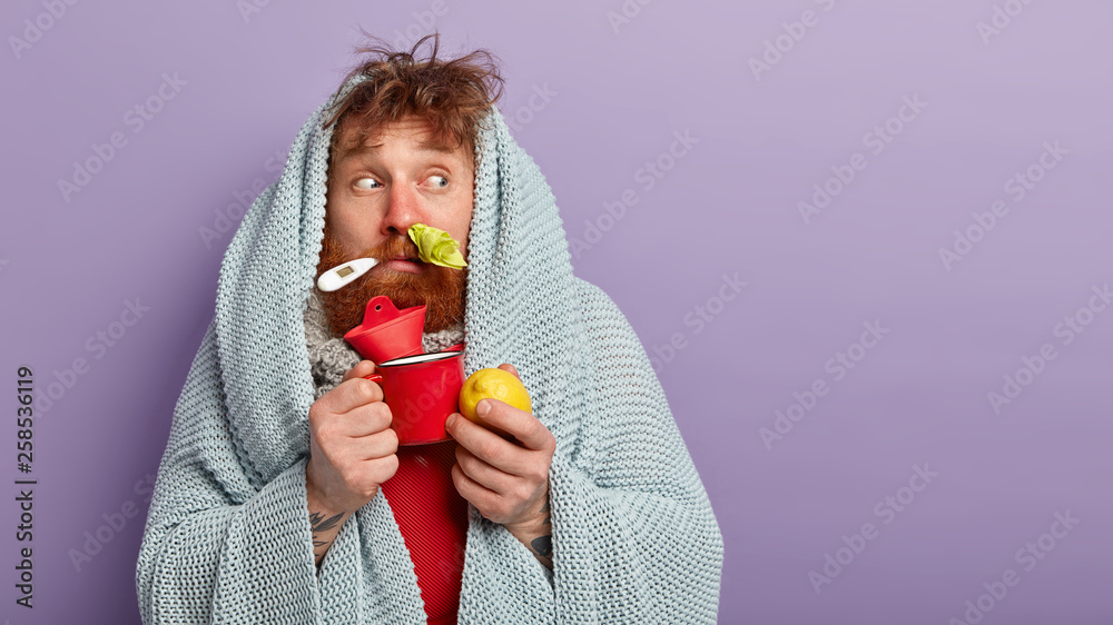 Traditional treatment concept. Stunned ill man drinks hot milk with honey, eats lemon, cures cold, has fever, wrapped in coverlet, focused aside, has thermometer in mouth for measuring temperature - obrazy, fototapety, plakaty 