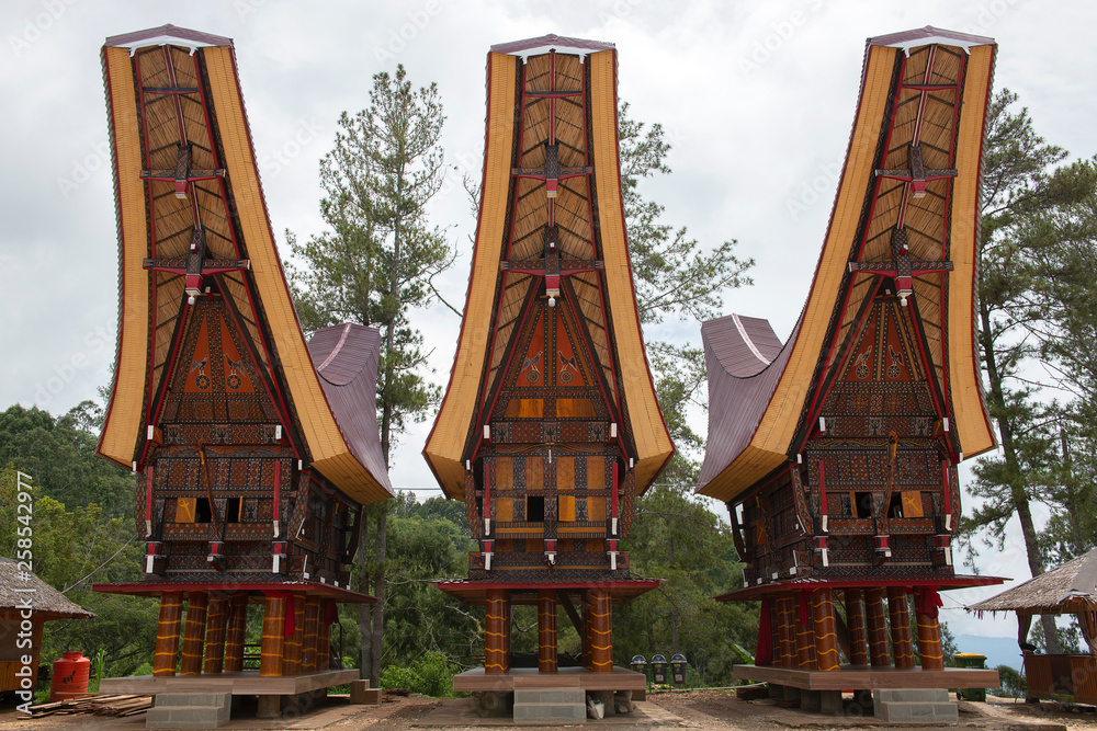 Tongkonan houses, traditional Torajan buildings, Tana Toraja is the ...