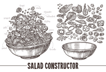 Vector monochrome set of sketch elements, components and ingredients for vegetables salat. Hand drawn collection of cut products and plate