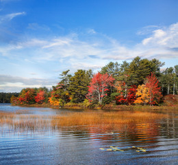 Wall Mural - Autumn At Somes Pond