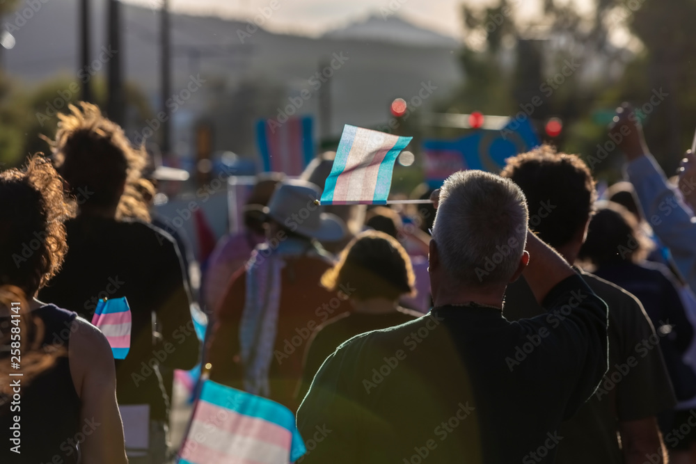 Marchers with Trans Support Flags at Rally - obrazy, fototapety, plakaty 