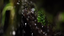 Waterfall Slowmotion And Moss
