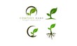 green leaf logo set