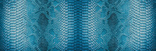 Snake Skin Background. Panoramic Web Banner With Copy Space.
