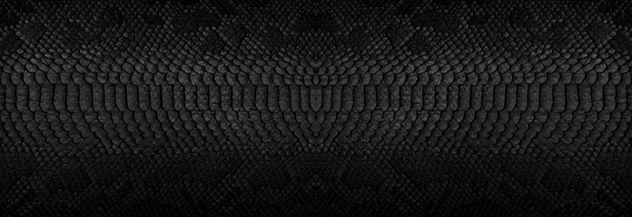 snake skin background. panoramic web banner with copy space.
