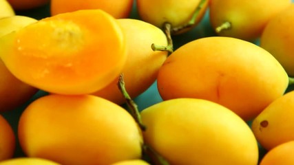 Sticker - Marian plum fruit in plate, in studio Chiangmai Thailand