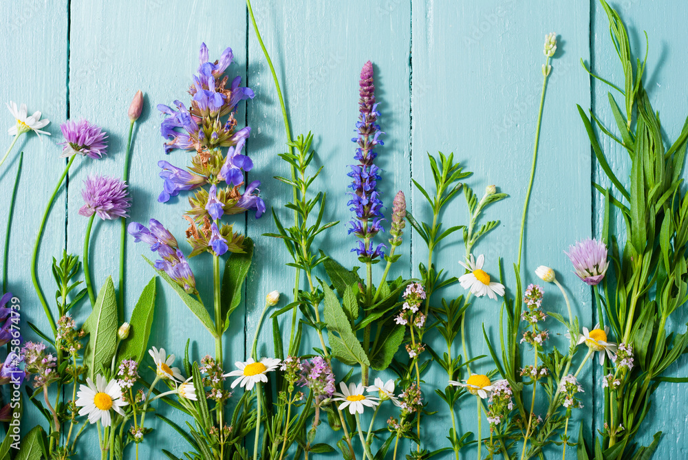 herbal flowers on blue wooden table background - obrazy, fototapety, plakaty 