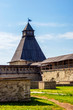 © Sergei Gorin - Vlasyevskaya tower of the defensive fortress wall of the ancient Pskov Kremlin