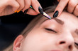 © leszekglasner - Plucking eyebrows with tweezer by beautician at beauty salon