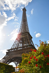 Sticker - The Eiffel Tower, Paris, France