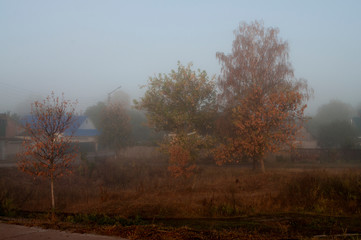 Early morning in the field with autumn fog and drops of water in the air. Tints of brown. Nothing could be seeing far away. Beautiful mistery landscape