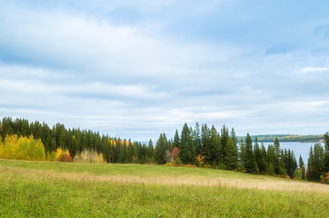 Wall Mural - autumn meadow with hills, colorful trees and bushes in cloudy weather.