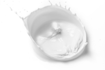 Pouring milk splash isolated on white background.Milk splash on white background.