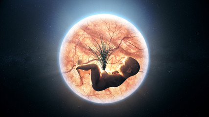 the composition of the baby in the womb of the planet earth in space. the concept of harmony between