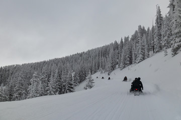 Snowmobiles driving on trail in Rocky Mountain National Park, Colorado