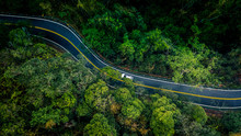 Car In Rural Asphalt Road In Deep Rain Forest With Green Tree Forest, Aerial View Car In The Forest View From Above Background. 