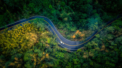 Poster - Car in rural road in deep rain forest with green tree forest view from above, Aerial view car in the forest on asphalt road background.