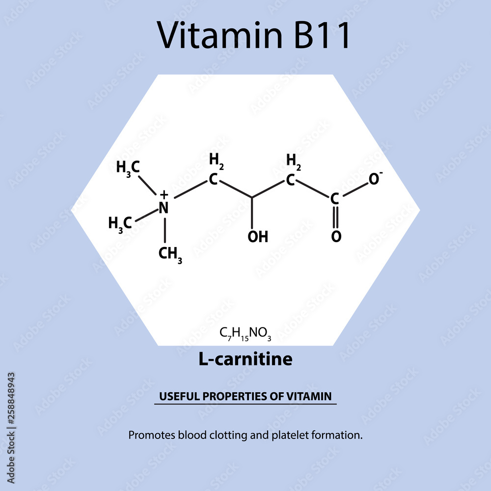 Vitamin B11. L-carnitine Molecular chemical formula. Useful properties of vitamin. Infographics. Vector illustration on isolated background. Stock Vector | Adobe Stock Vitamin B11. L-carnitine Molecular chemical formula. Useful properties of vitamin. Infographics. Vector illustration on isolated background. Stock Vector | Adobe Stock