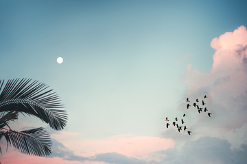 Wall Mural - pastel sky palm trees sky flock of birds with moon  vintage style for background texture 