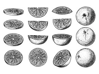 Set of illustrations with Orange in engraving stile. Fruits in different patrs and positions. Sweet and fresh fruit elements for menu, greeting cards, wrapping paper, cosmetics packaging, labels, tags