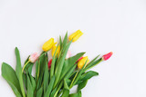Fototapeta Tulipany - Bouquet of colored tulips on a white background. Spring flowers. Colored tulips, Lovely tulip flowers composition. Valentines Day or Mothers day. International Womens Day March 8.
