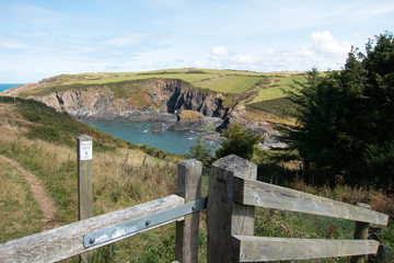 Wall Mural - Trefin