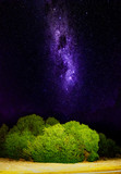 Fototapeta  - Milky Way Stars and a Bush